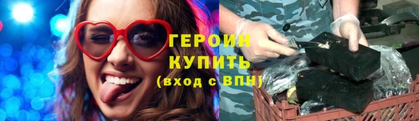 амф Гусев