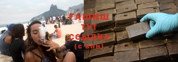 амф Гусев
