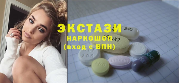 амф Гусев