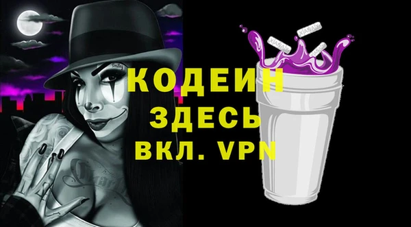 амф Гусев