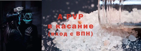амф Гусев