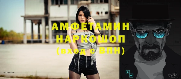 амф Гусев