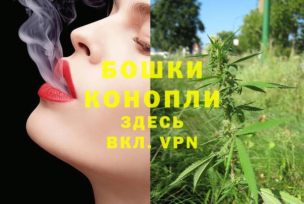 амфетамин Гусь-Хрустальный