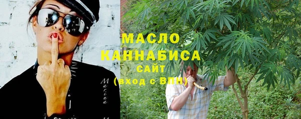 амф Гусев
