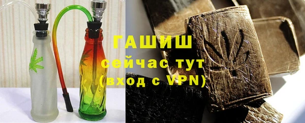 амф Гусев