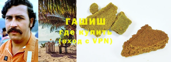 амф Гусев