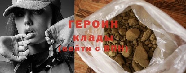 амф Гусев