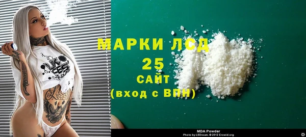амф Гусев